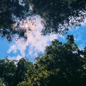 Meet your Posher, Daphne